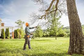 Best Commercial Tree Services  in Thatcher, UT